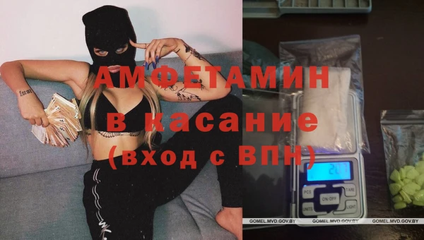 дмт Богданович